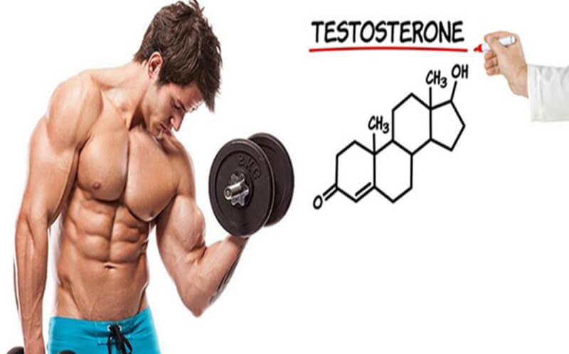 Testosterone là gì? Vai trò của testosterone là như thế nào?